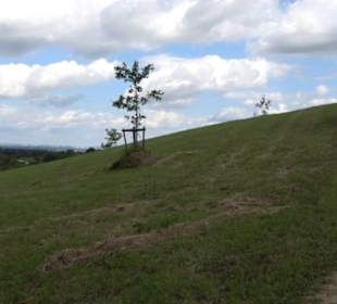 Hochgehnießen - Premiumspazierwanderweg