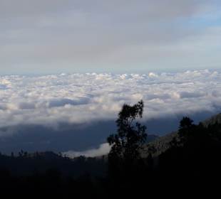 Ausblick