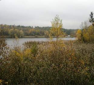 Herbst 2011