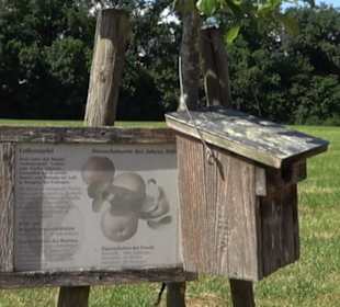 Eduard Lucas Musterobstgarten Mähringen