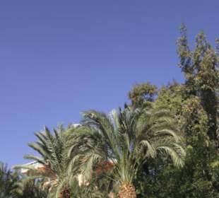 Stadtrundgang El Gouna