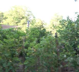 Interkultureller Gemeinschaftsgarten