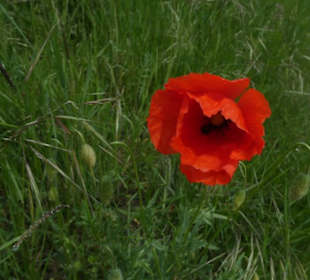 Unterwegs auf der Ostheimer Streifberg-Tour