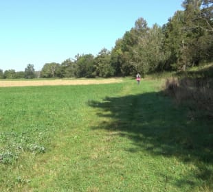 Kelten-Erlebnis-Pfad Erkenbrechtsweiler