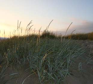 Schützenswerte Dünen