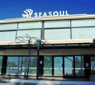 Das Seasoul