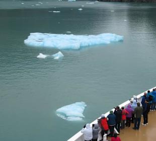 MS Zaandam befährt den Tracy Arm Fjord
