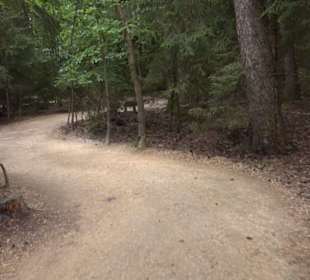 Dinosaurier Museum Altmühltal