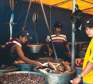 Fischhalle in Puerto Libertad