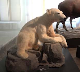 Naturkundemuseum