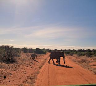 African Bush & Beach Adventures Ltd