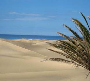Maspalomas Dünen
