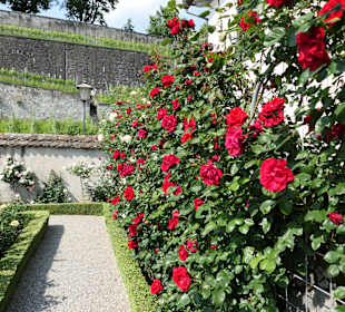 Schloss Rapperswil