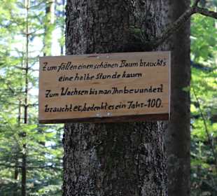 Stadtrundgang Freudenstadt