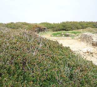 Aussicht von Halbinsel