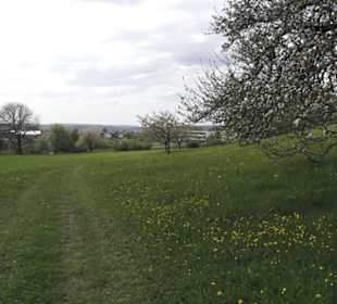 Wanderweg Firstwaldrunde