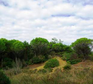 Ende September 2010 Inspirationen