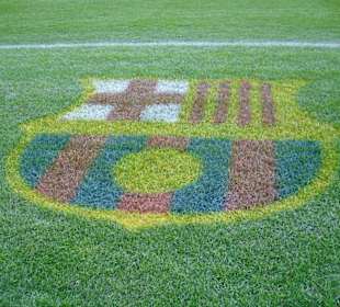 Camp Nou -  Rasen