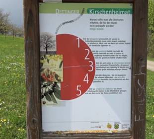 Kirschenheimat