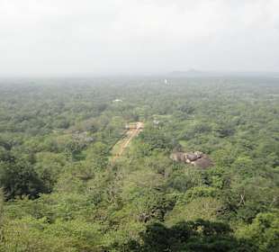 Sigiriya