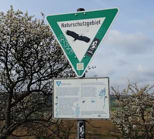 Naturdenkmal Sonnenberg