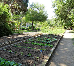 Rundgang durch den Botanischen Garten Cagliari