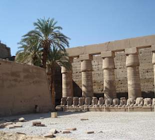 Rzeżby sfinksów z baranimi głowami