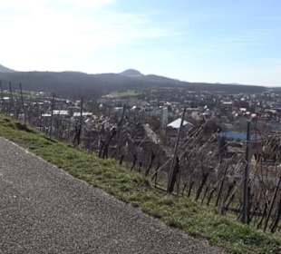 Weinberg
