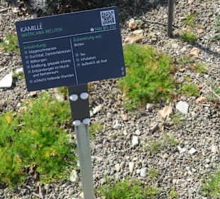 Hinweistafel zum eingepflanzten Kraut