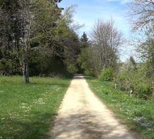 Arboretum