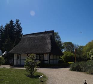 Zoo Arche Noah Grömitz