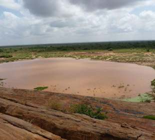 Blick auf das Wasserloch