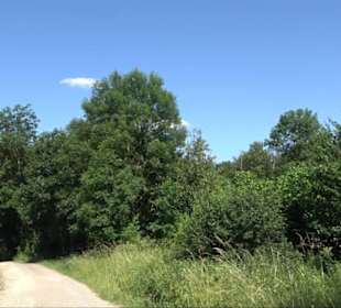 Eduard Lucas Musterobstgarten Mähringen