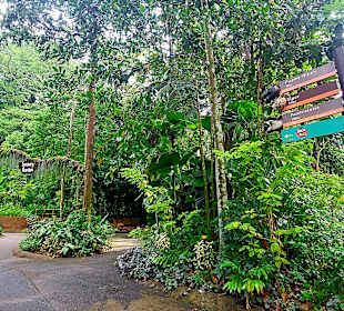 Singapur Zoo
