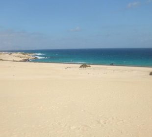 Dünen bei Corralejo