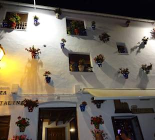 Bar El Castillito in der Altstadt
