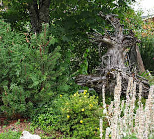 Wandern Saalbach-Hinterglemm