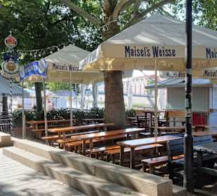 Impressionen von der morgendlichen Schlachte