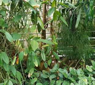 Botanischer Garten