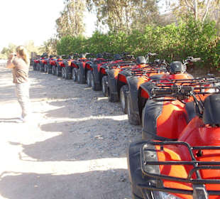 Kolonne mit 14 Fahrzeugen