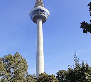 Luisenpark mit Fernmeldeturm