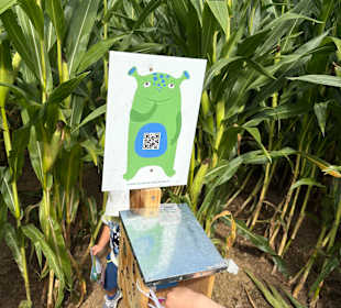 Monster-Maisfeldlabyrinth Alsdorf