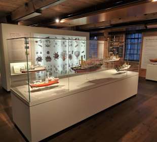 Rundgang durch die Abteilung "Expedition Meer"