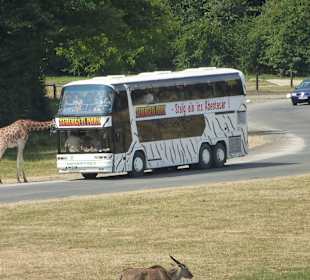 Hier ist es schön kalt ( Klimabus)