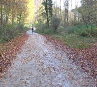 Wandertour "Rund um den Rossberg" Öschingen