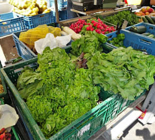 Impressionen vom Rundgang über den Wochenmarkt