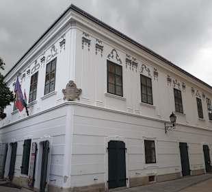 Touristeninformation Székesfehérvár in Székesfehér