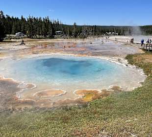 Old Faithful Geysir