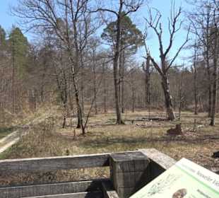 Waldkulturerbe Neuweiler Viehweide