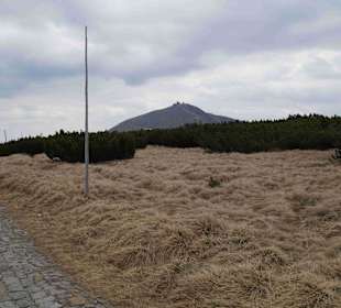 Berg Schneekoppe/Śnieżka